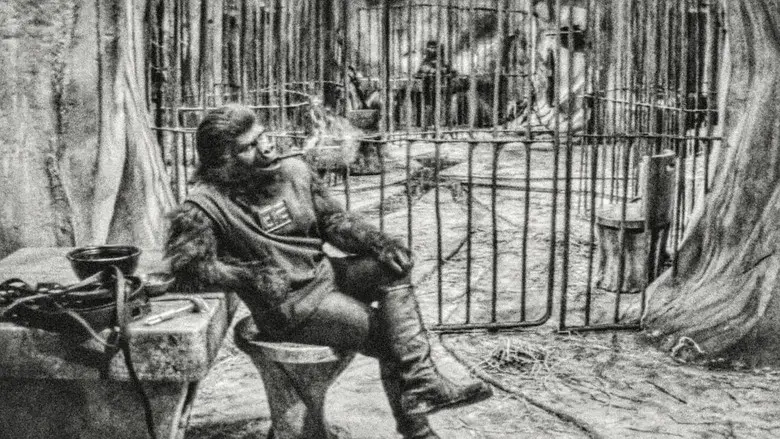 El planeta de los simios - Fondo