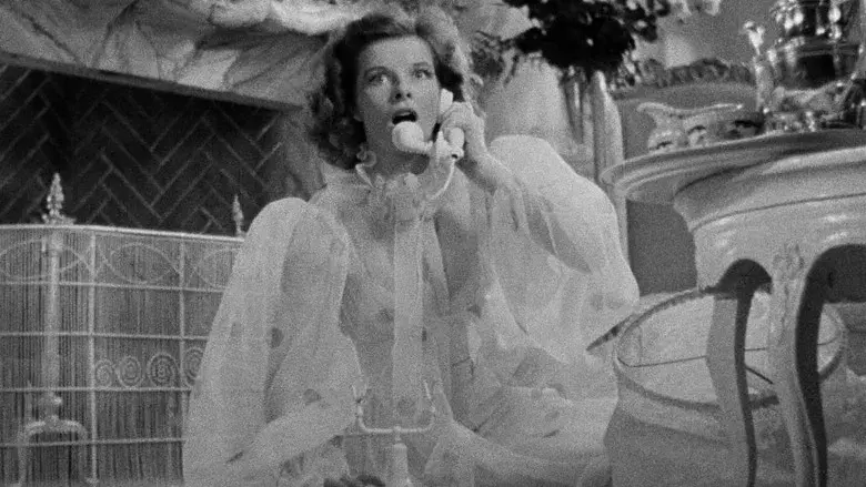 La fiera de mi niña - Fondo