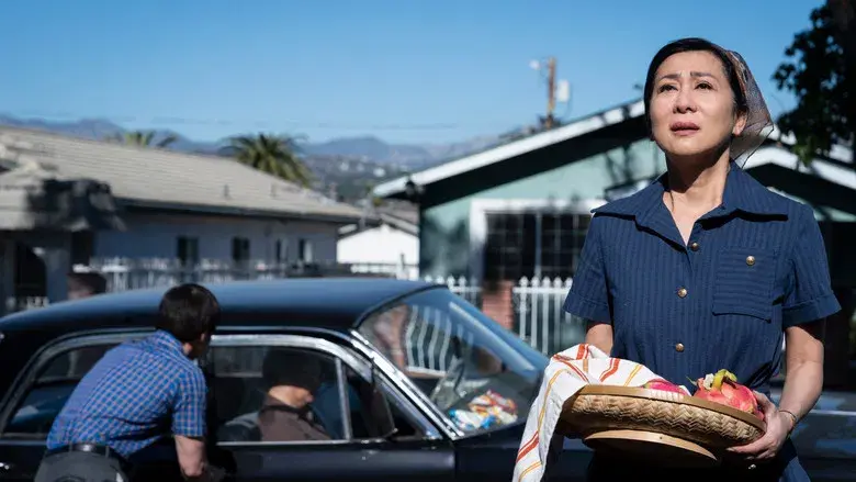 El simpatizante - Fondo