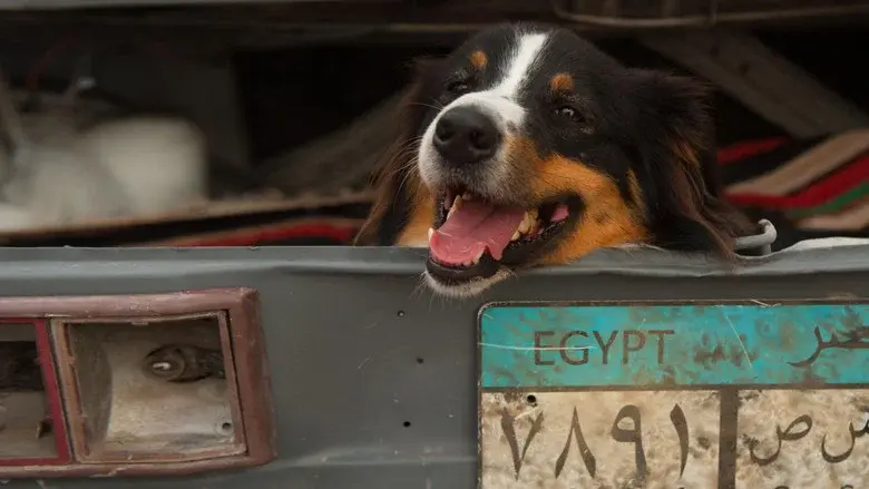 Los cinco y el secreto de la pirámide - Fondo