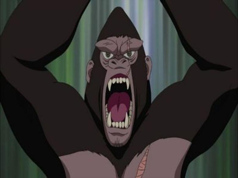 Desembarque en… ¿La isla paradisíaca?