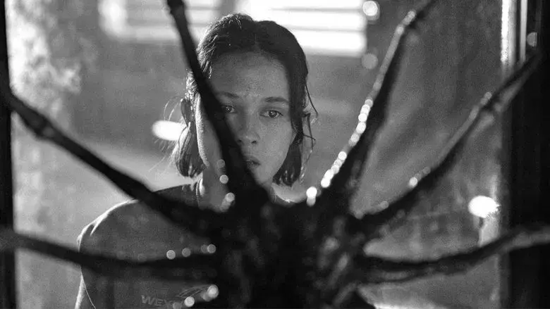 Alien: Romulus - Fondo