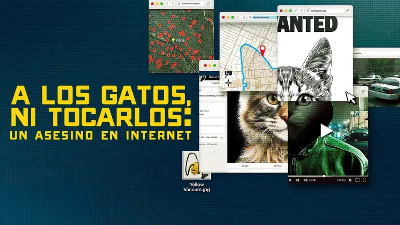 A los gatos, ni tocarlos: Un asesino en Internet - Fondo