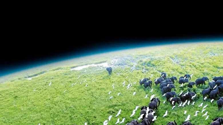Planeta Tierra - Fondo