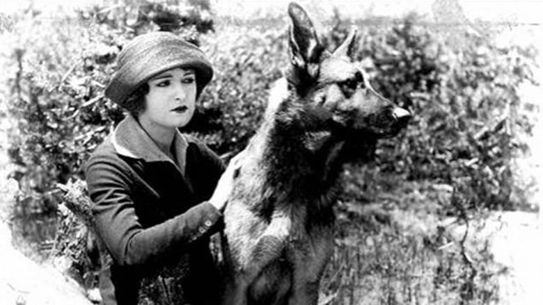 The Silent Call - Fondo