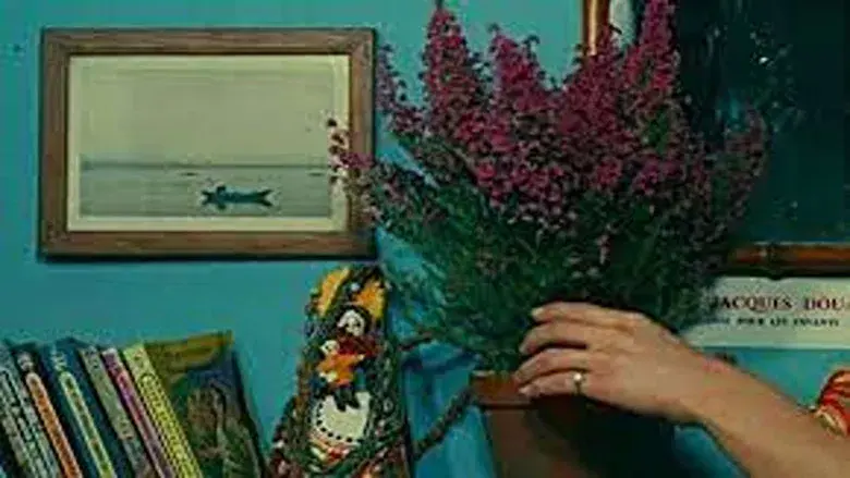 La felicidad - Fondo