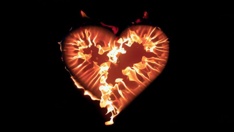 La sustancia - Fondo