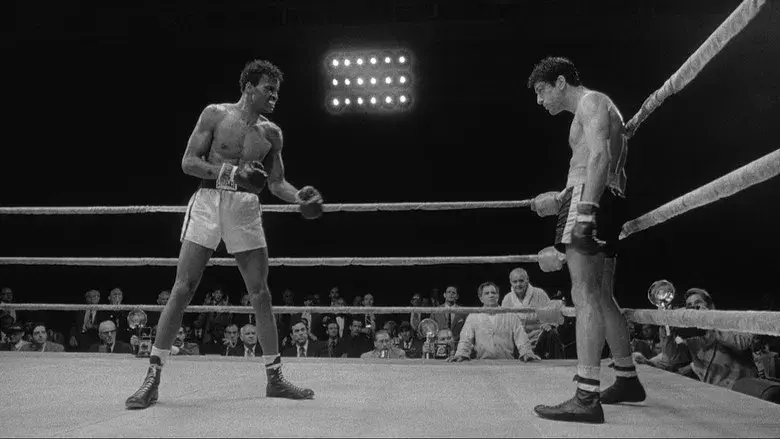 Toro salvaje - Fondo