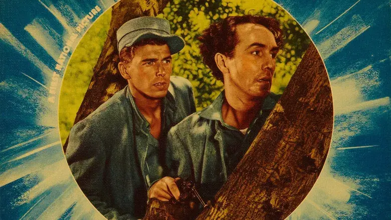 Smashing the Money Ring - Fondo