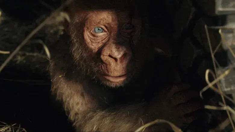 Proyecto Rampage - Fondo