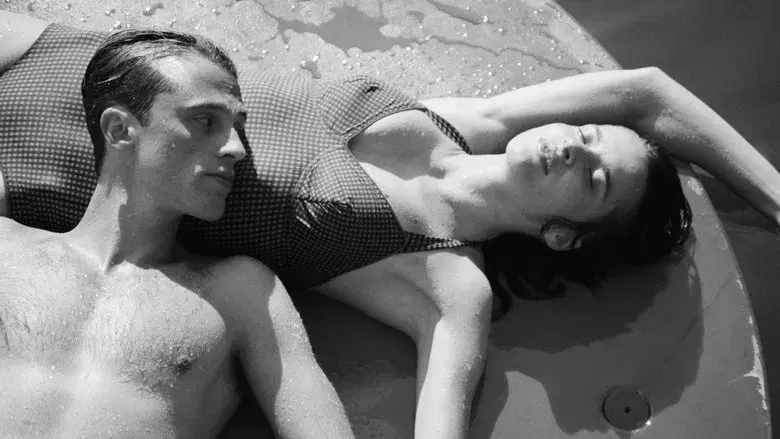 El extranjero - Fondo