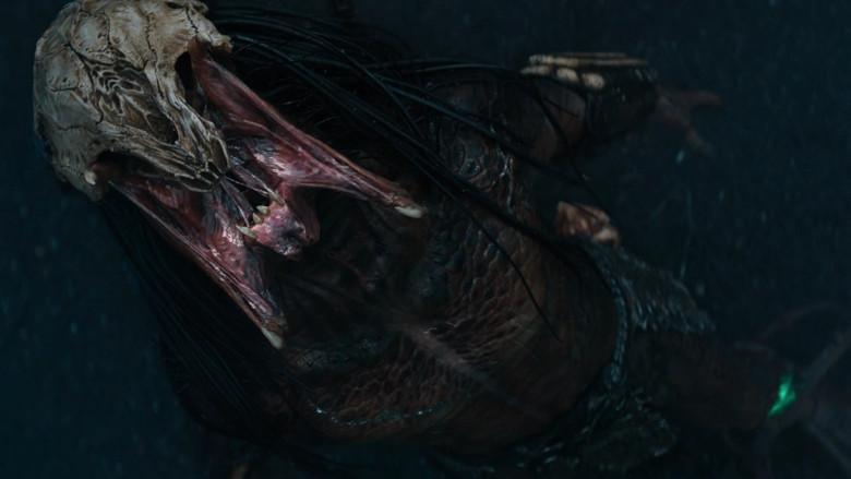 Predator: La presa - Fondo