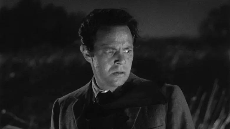 La casa del río - Fondo