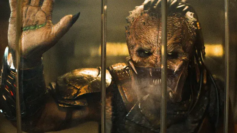 Predator: Badlands - Fondo