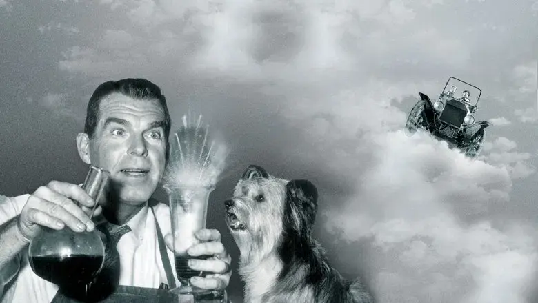 El sabio en apuros - Fondo