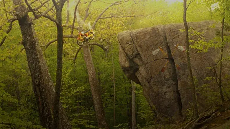 Moonrise Kingdom - Fondo