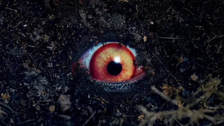 Juego prohibido (The Forbidden Play) - Fondo