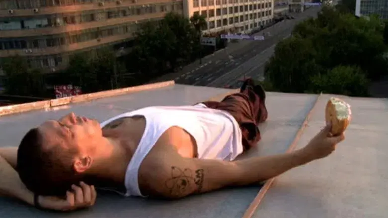 La vida en un día - Fondo