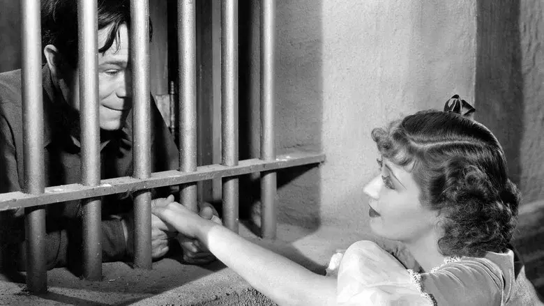 Sons o' Guns - Fondo