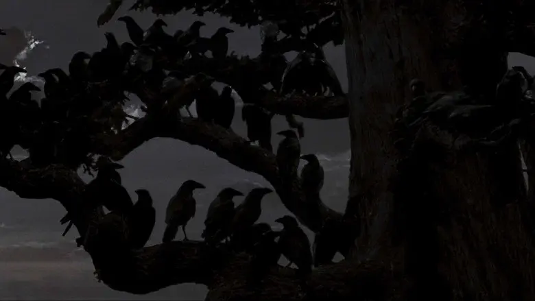 Los pájaros - Fondo