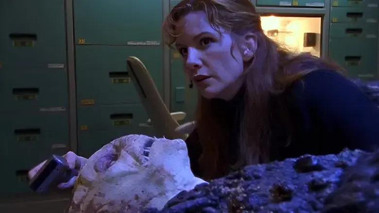 La teoría de la relatividad