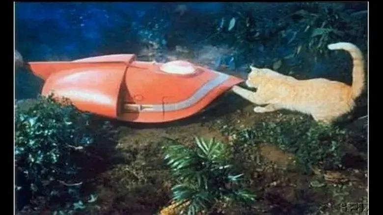 Tierra de gigantes - Fondo