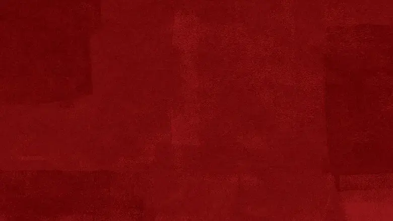 Quemar después de leer - Fondo