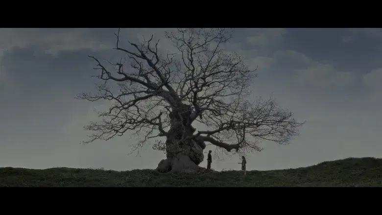 Harry Potter y las Reliquias de la Muerte - Parte 2 - Fondo