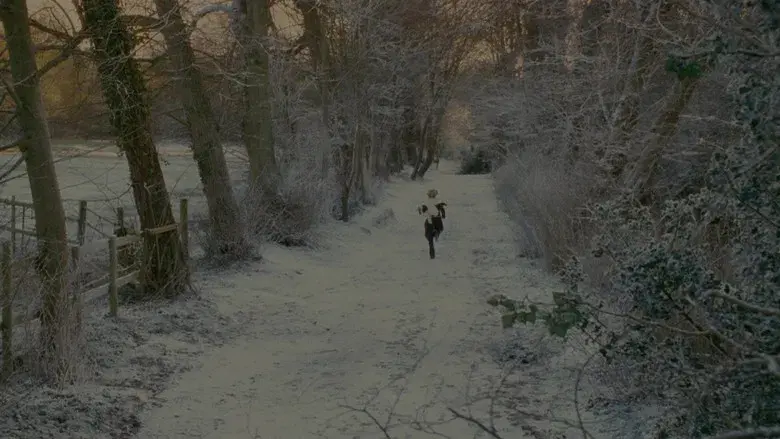 The Holiday (Vacaciones) - Fondo