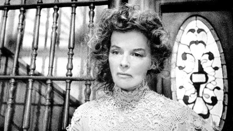 Larga jornada hacia la noche - Fondo