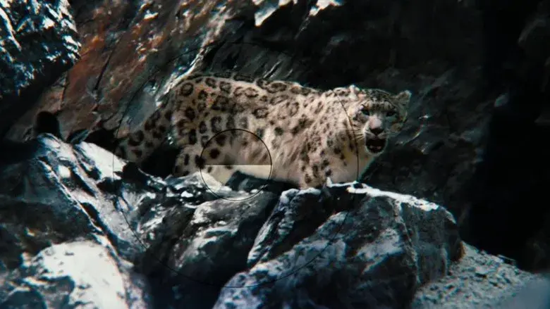 La vida secreta de Walter Mitty - Fondo