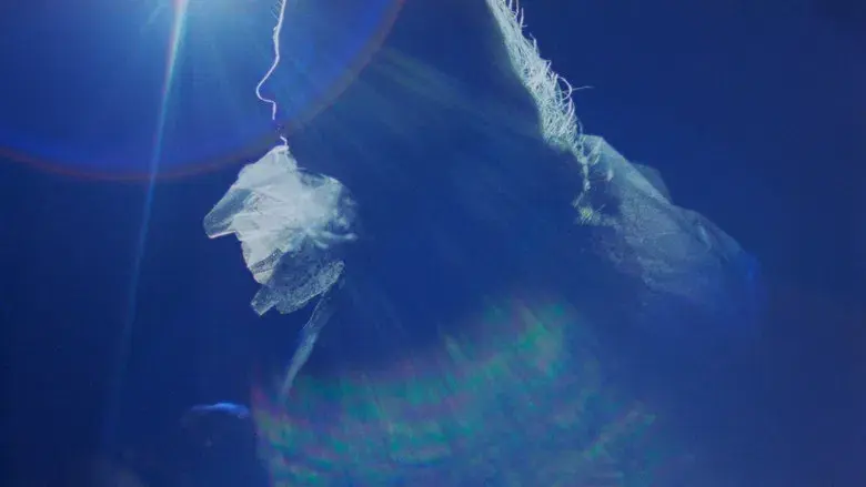 Corrientes de amor - Fondo