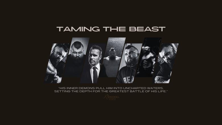Taming The Beast - Fondo