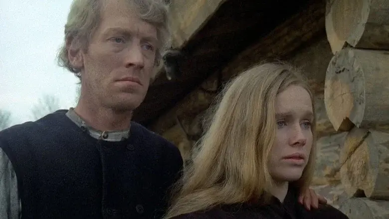 La nueva tierra - Fondo