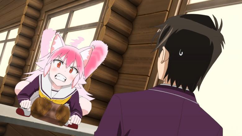 Murenase! Seton Gakuen - Fondo
