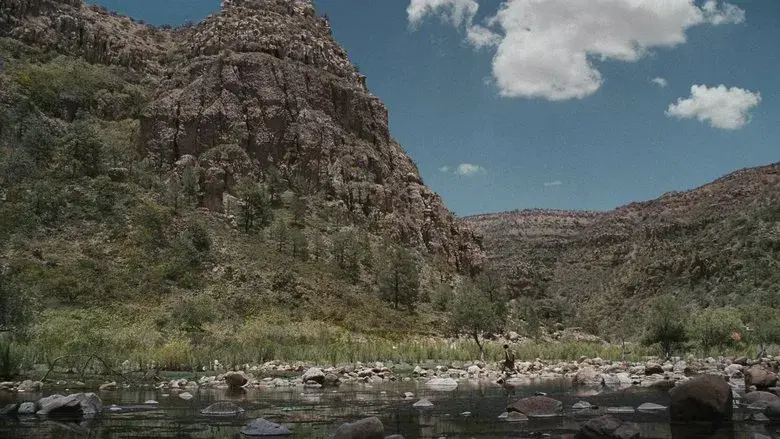 Materialistas - Fondo