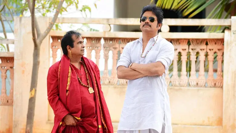 సోగ్గాడే చిన్నినాయనా - Fondo