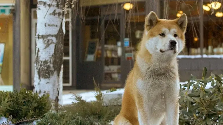 Siempre a tu lado (Hachiko) - Fondo