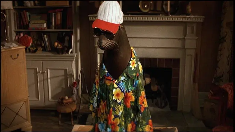 Andre, una foca en mi casa - Fondo