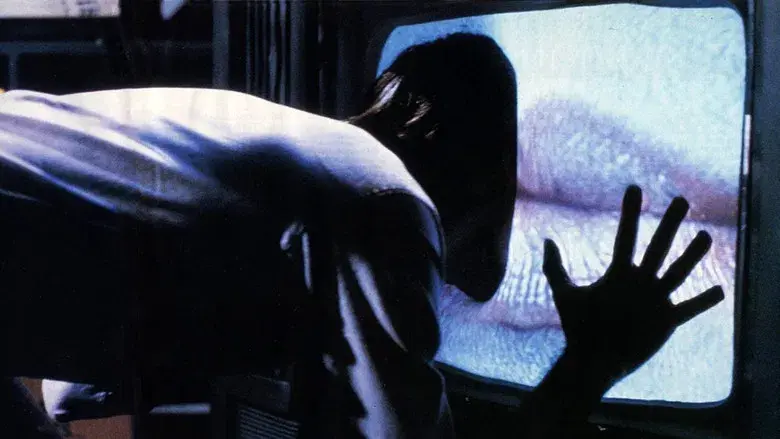 Videodrome - Fondo