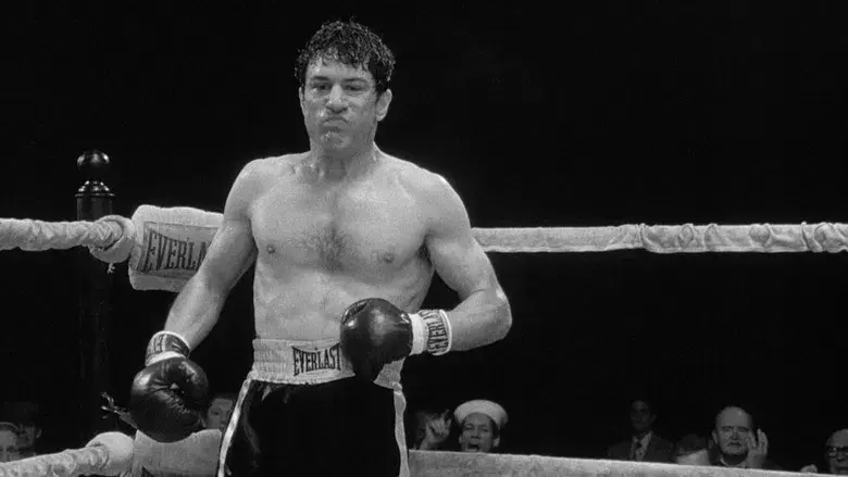 Toro salvaje - Fondo