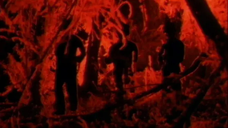 Pesadilla Nocturna - Fondo