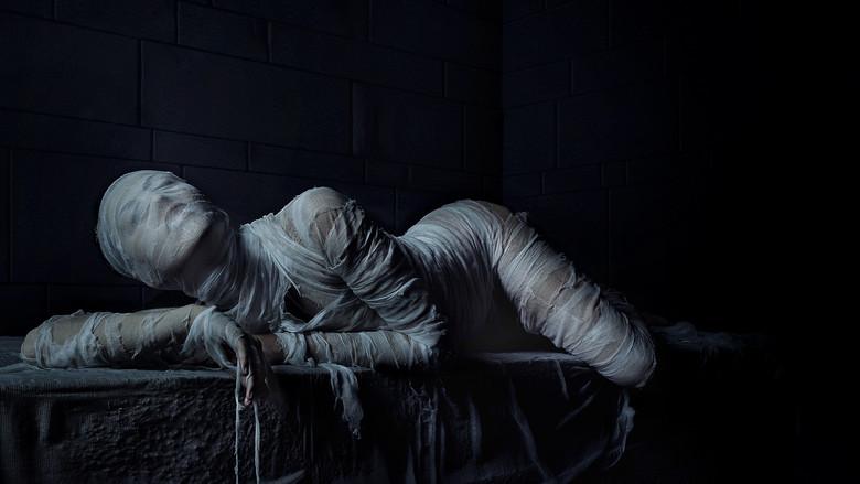 American Horror Story - Fondo