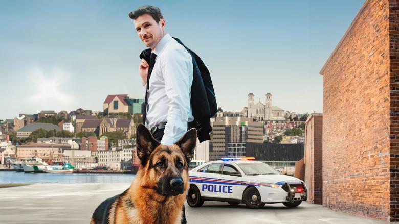 Hudson & Rex - Fondo