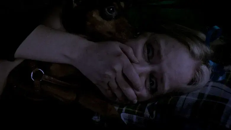 Grizzly Night - Fondo