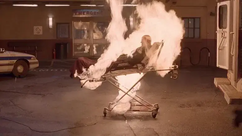 La verdad saldrá a la luz