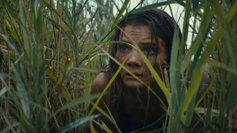 El reino del planeta de los simios - Fondo