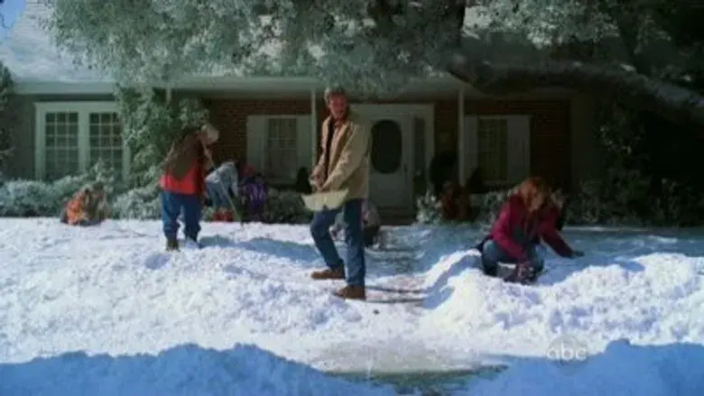 Día de acción de gracias III