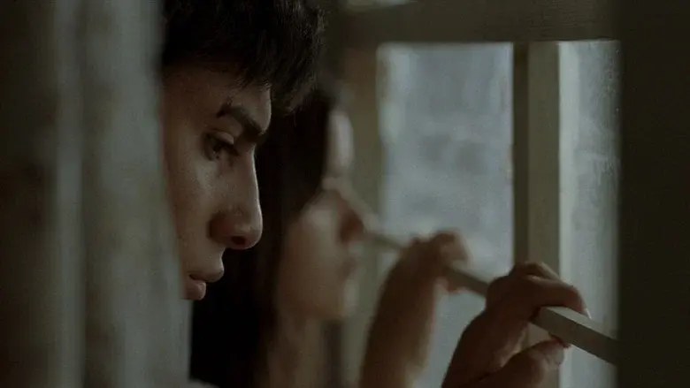 Somos lo que hay - Fondo