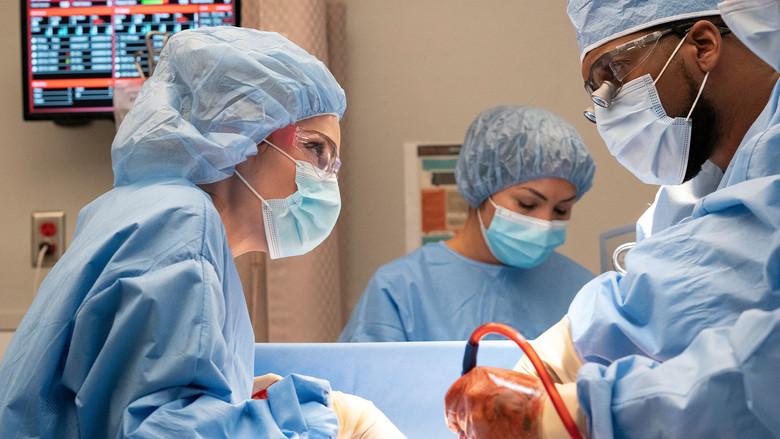 Sangre, sudor y lágrimas